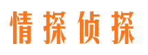 日喀则外遇出轨调查取证